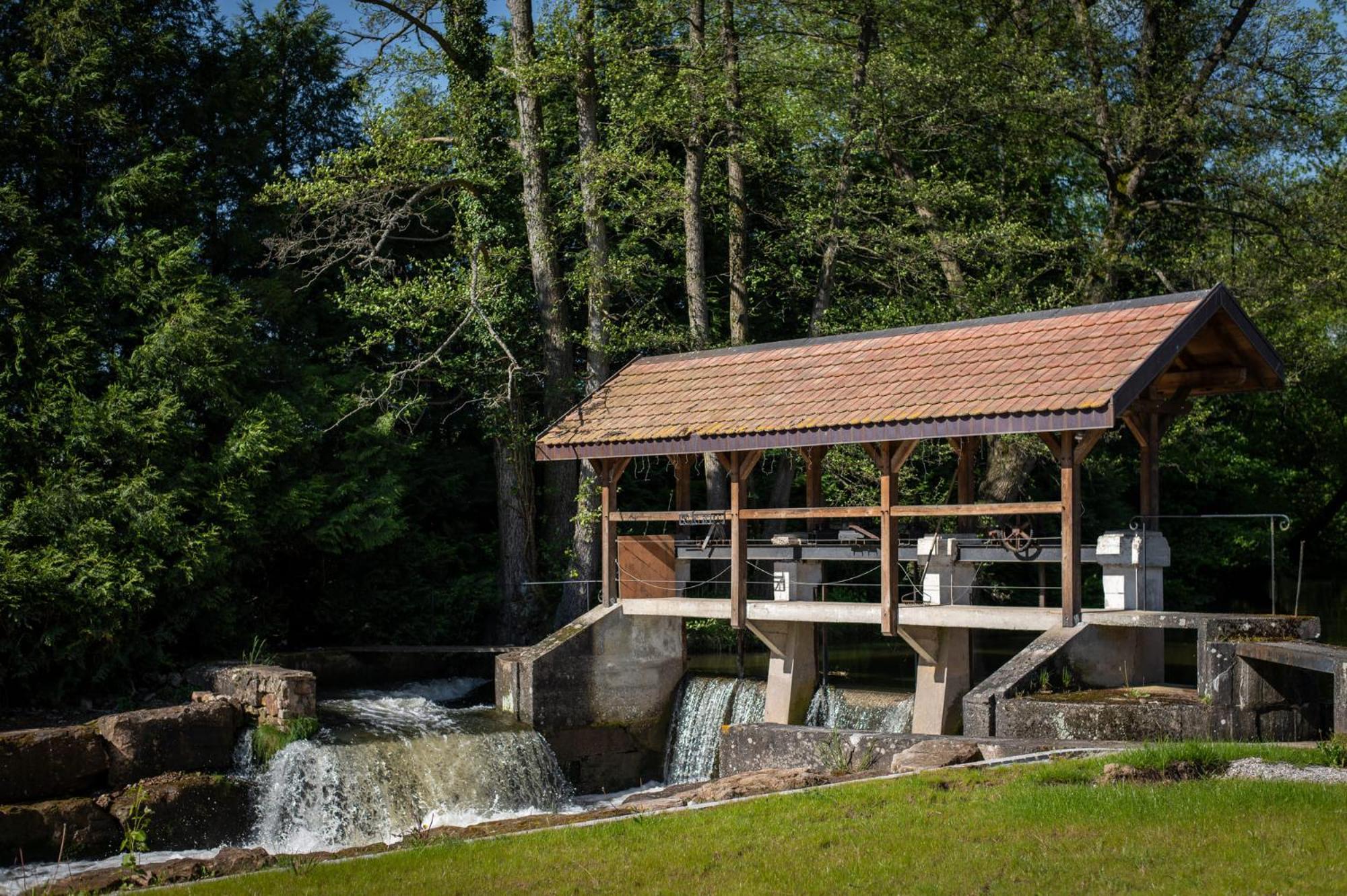 Les Gites De La Karlsmuhle Hagenau Exterior foto